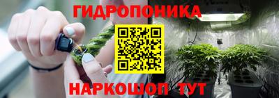 гидра Бузулук