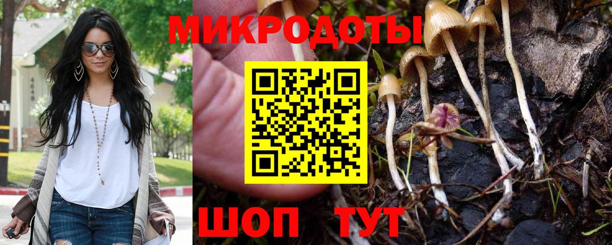 Псилоцибиновые грибы Psilocybine cubensis Сарапул