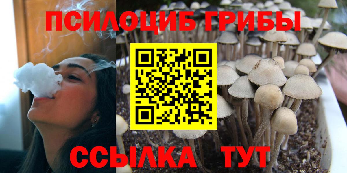 Сарапул  цена наркотик  Вход с VPN  Псилоцибиновые грибы Psilocybe 